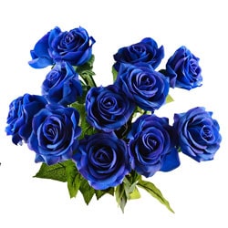 Blue roses Bouquet